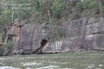 20100124_Hawkesbury River-Wisemans Ferry_(114 of 198)