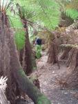 20071006Glen Davis_Mt Airley_Lost City (51 of 86)