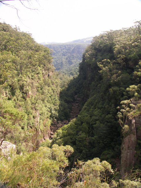 20090321_Carrington Falls - Illawarra Fly (78 of 99)