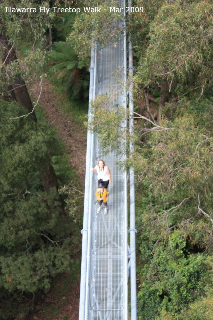 20090321_Carrington Falls - Illawarra Fly (36 of 118)