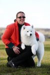 National Samoyed Show - Melbourne