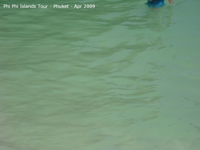 20090420_Phi Phi Island - Maya Bay- Koh Khai (75 of 182)