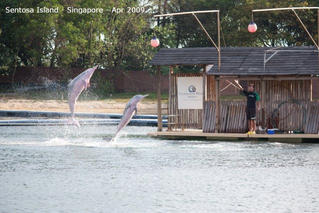 20090422_Singapore-Sentosa Island (57 of 138)