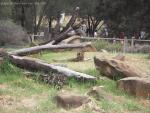 20080322Dubbo_WesternPlainsZoo (18 of 101)