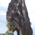 050530 Angkor Wat 223