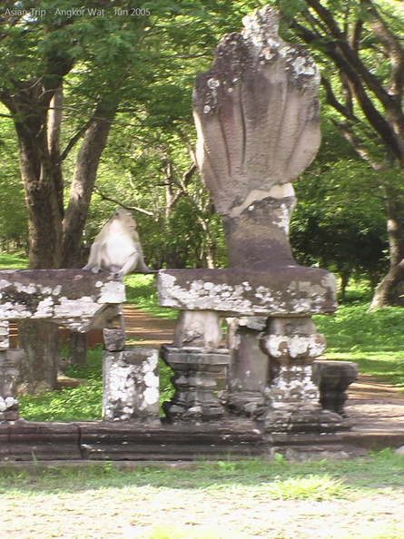 050530_Angkor_Wat_301.jpg
