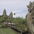 050530 Angkor Wat 351