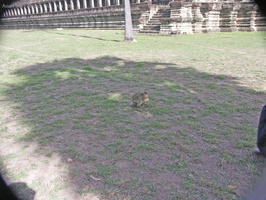 050530 Angkor Wat 366