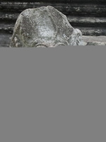 050530 Angkor Wat 451