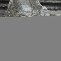 050530 Angkor Wat 451