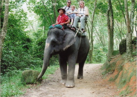 Phuket Elephant Ride 01 001