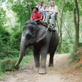 Phuket Elephant Ride 01 001