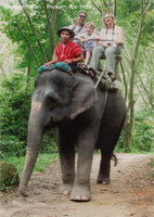 Phuket Elephant Ride 02 001