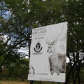 20181201 - Kapula Sth Camp, Hwange NP, Zimbabwe (009 of 194)