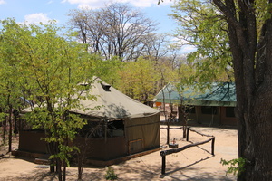 20181202 - Kapula Sth Camp, Hwange NP, Zimbabwe (314 of 649)