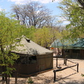 20181202 - Kapula Sth Camp, Hwange NP, Zimbabwe (314 of 649)