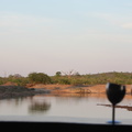 20181203 - Deteema Dam, Hwange NP, Zimbabwe (234 of 302)