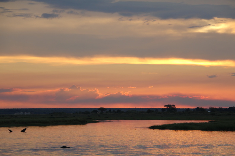 20181206 - Chobe River, Kasane, Botswana (439 of 508).jpg