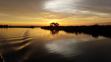 20181206 - Chobe River, Kasane, Botswana (467 of 508)