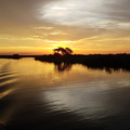 20181206 - Chobe River, Kasane, Botswana (467 of 508).jpg