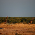 20181218 - Olifantsrus to Opuwo, Namibia (028 of 181)