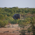 20181218 - Olifantsrus to Opuwo, Namibia (029 of 181).jpg