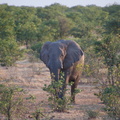 20181218 - Olifantsrus to Opuwo, Namibia (034 of 181)