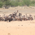 20181218 - Olifantsrus to Opuwo, Namibia (090 of 181)