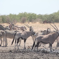 20181218 - Olifantsrus to Opuwo, Namibia (136 of 181)